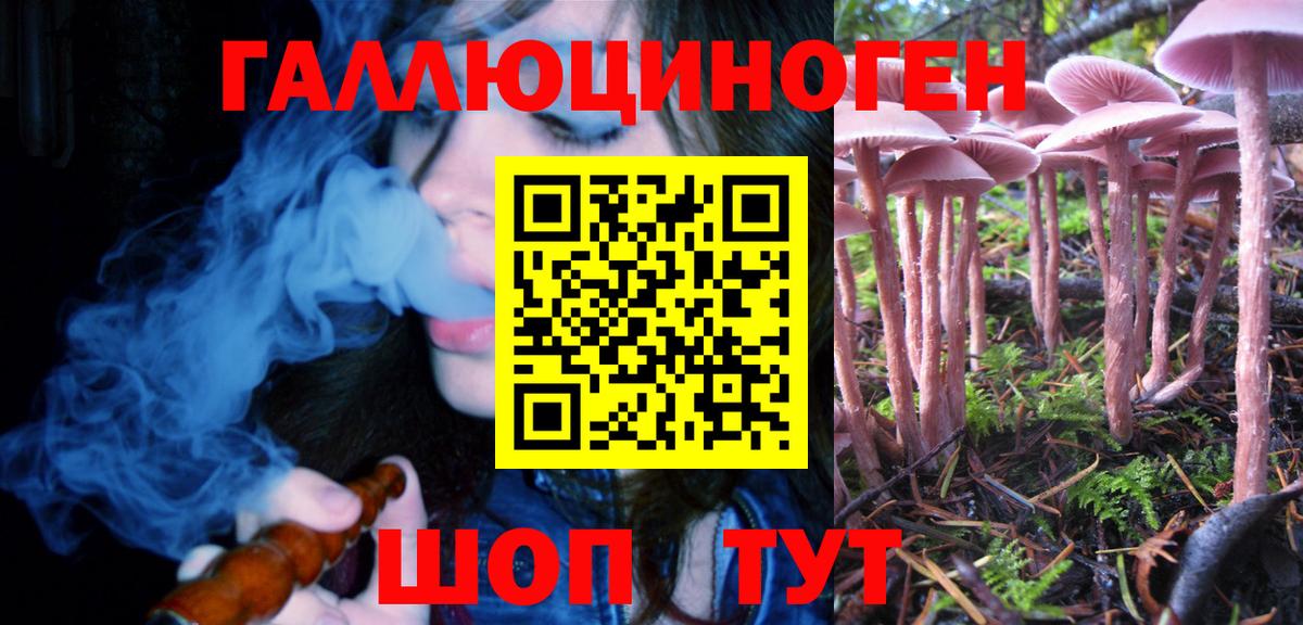 Осинники  Галлюциногенные грибы мухоморы  Вход с VPN 